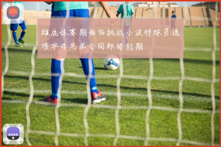 雄鹿休赛期面临挑战小波特球员选项字母兄弟合同即将到期