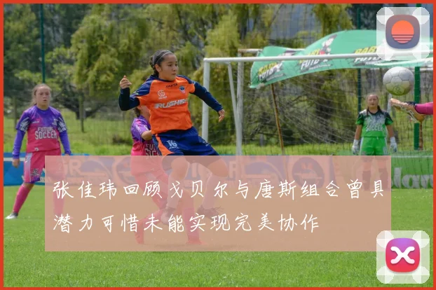 张佳玮回顾戈贝尔与唐斯组合曾具潜力可惜未能实现完美协作