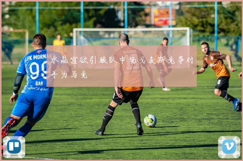 水晶宫欲引狼队中场戈麦斯竞争对手为马竞