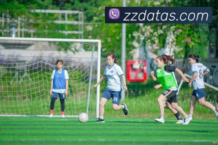 App Interface Preview